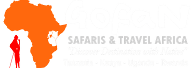 Gofan Safaris